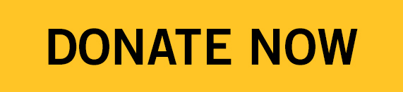 DONATE NOW